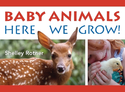 Baby Animals!: Here We Grow by Shelley Rotner