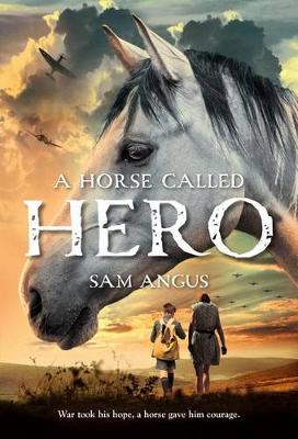 Horse Called Hero by Sam Angus