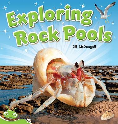 Bug Club Level 14 - Green: Exploring Rock Pools (Reading Level 14/F&P Level H) book