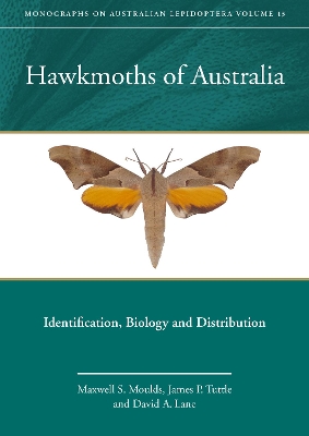 Hawkmoths of Australia: Identification, Biology and Distribution book