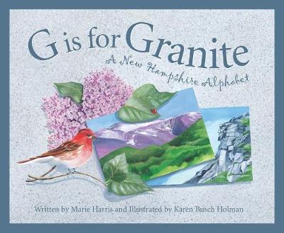 G Is for Granite book