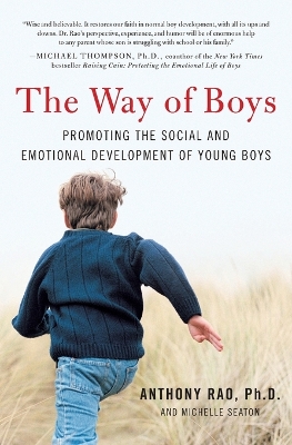 Way of Boys book