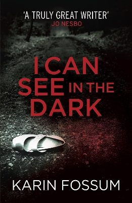 I Can See in the Dark by Karin Fossum