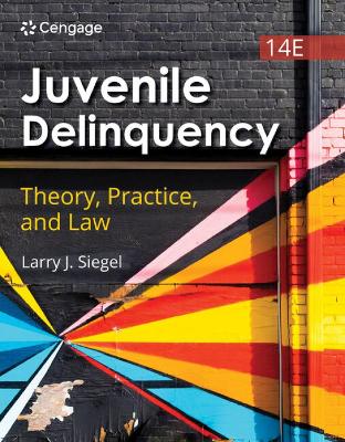 Juvenile Delinquency: Theory, Practice, and Law book