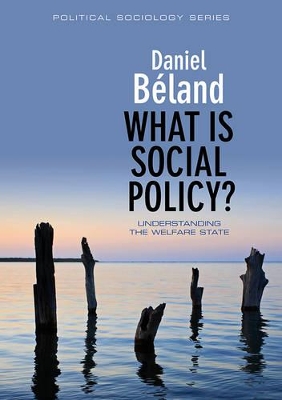 What is Social Policy? book