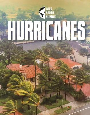 Hurricanes by Golriz Golkar