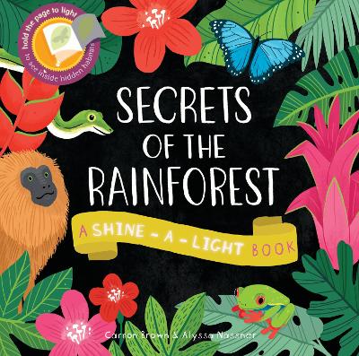 Secrets of the Rainforest book