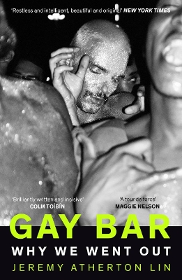 Gay Bar: Why We Went Out book