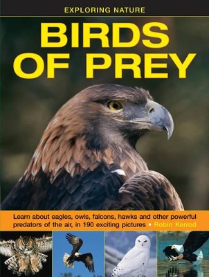 Exploring Nature: Birds of Prey book