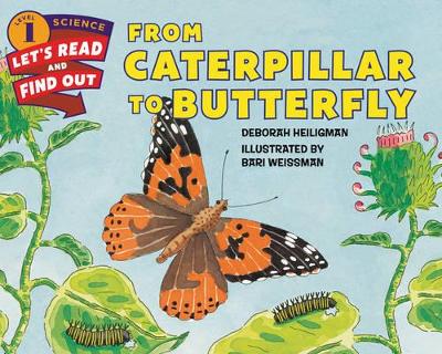 From Caterpillar To Butterfly by Deborah Heiligman