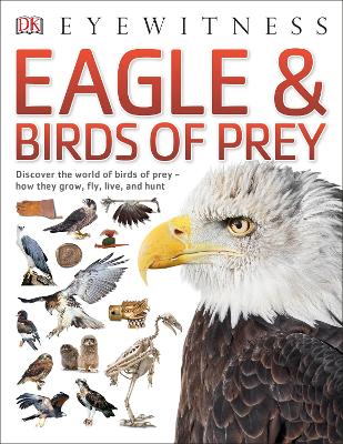 Eagle & Birds of Prey book