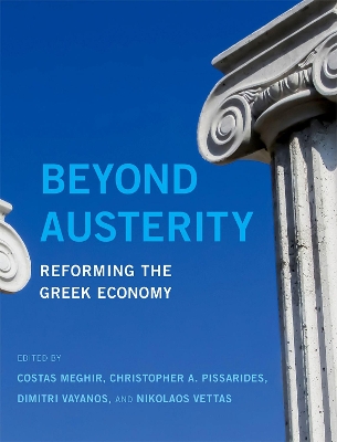 Beyond Austerity book