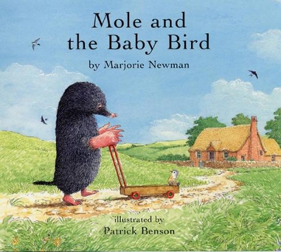 Mole and the Baby Bird book