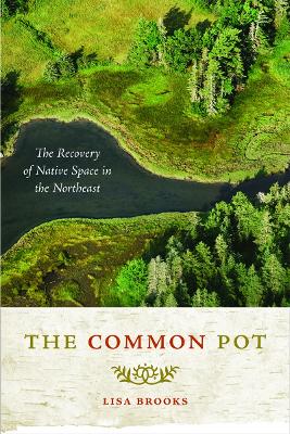 The Common Pot by Lisa Brooks