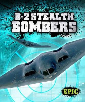 B-2 Stealth Bombers book