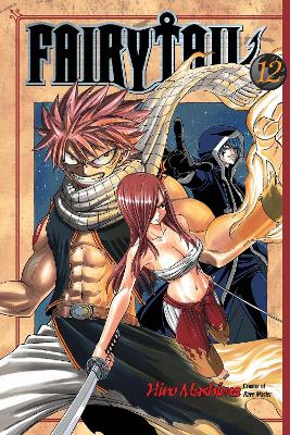 Fairy Tail 12 book