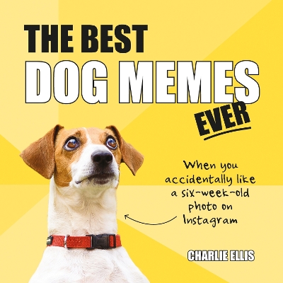 The Best Dog Memes Ever: The Funniest Relatable Memes as Told by Dogs book