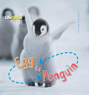 Life Cycles: Egg to Penguin by Camilla de le Bédoyère