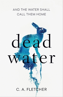 Dead Water: A novel of folk horror by C a Fletcher