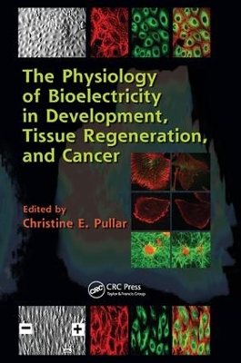 The The Physiology of Bioelectricity in Development, Tissue Regeneration and Cancer by Christine E. Pullar