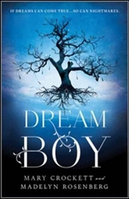 Dream Boy book