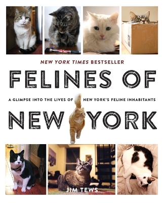 Felines of New York book