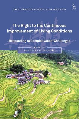 The Right to the Continuous Improvement of Living Conditions: Responding to Complex Global Challenges book