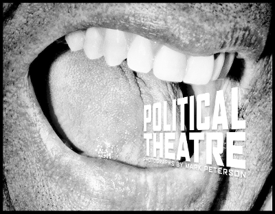 Mark Peterson: Political Theater book