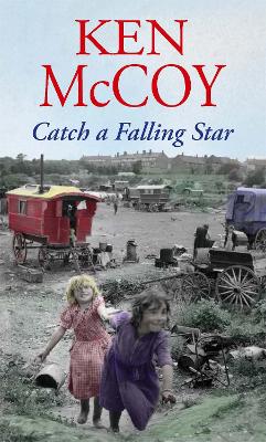 Catch A Falling Star by Ken Mccoy