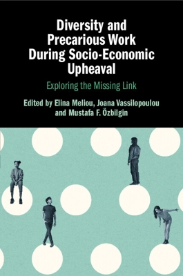 Diversity and Precarious Work During Socio-Economic Upheaval: Exploring the Missing Link book