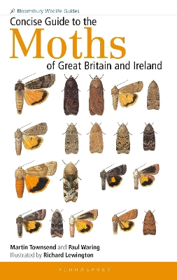 Concise Guide to the Moths of Great Britain and Ireland book