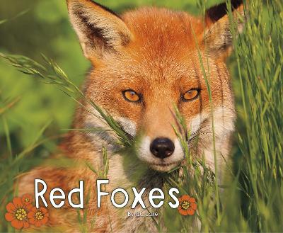 Red Foxes book