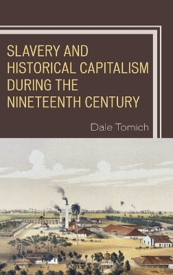 Slavery and Historical Capitalism during the Nineteenth Century book