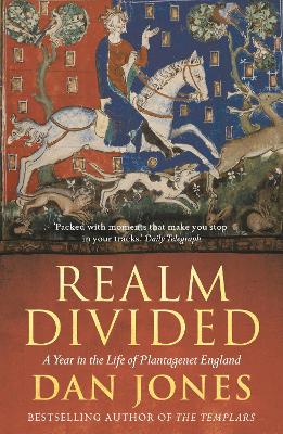 Realm Divided book