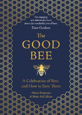 The Good Bee: A Celebration of Bees – And How to Save Them by Alison Benjamin