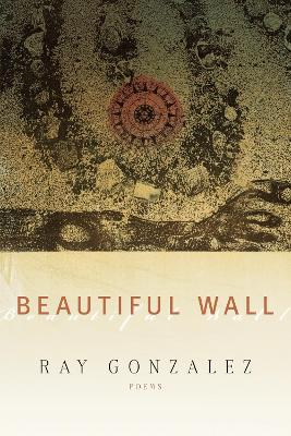 Beautiful Wall book