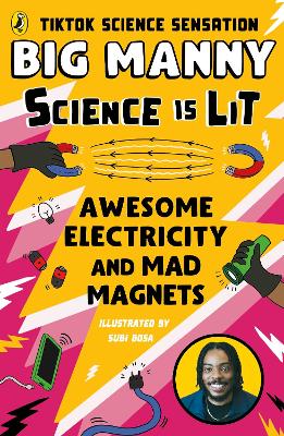 Awesome Electricity and Mad Magnets book