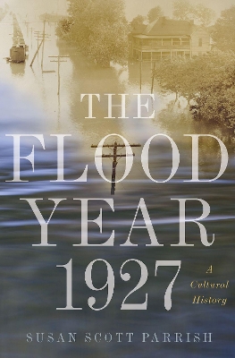 Flood Year 1927 book