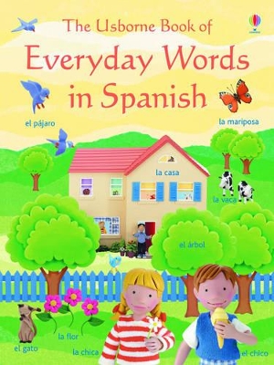 Everyday Words in Spanish book