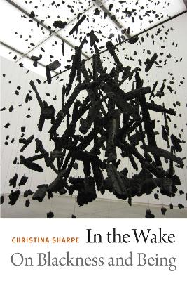 In the Wake book