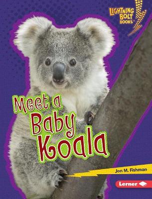 Meet a Baby Koala book