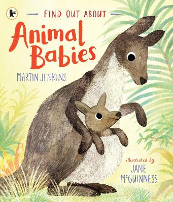 Find Out About ... Animal Babies by Martin Jenkins