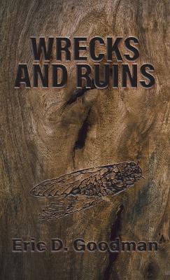 Wrecks and Ruins book