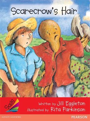 Scarecrow's Hair book