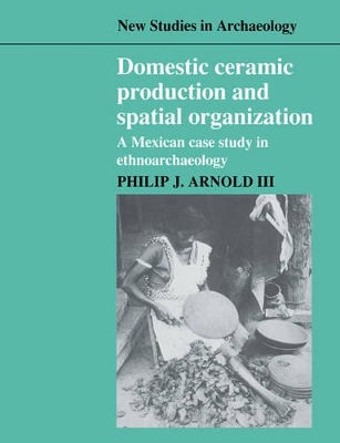 Domestic Ceramic Production and Spatial Organization book