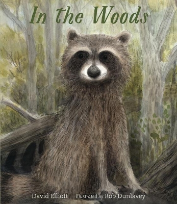 In the Woods book