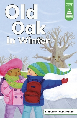 Old Oak in Winter book