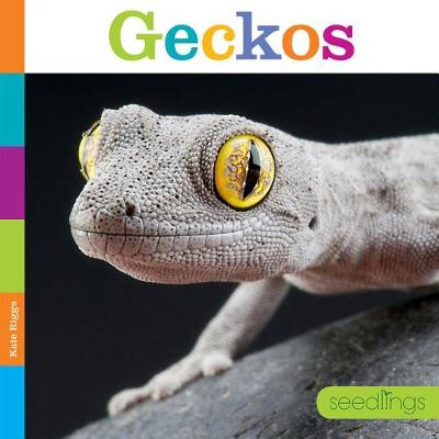 Seedlings: Geckos by Kate Riggs
