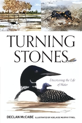 Turning Stones: Discovering the Life of Water book