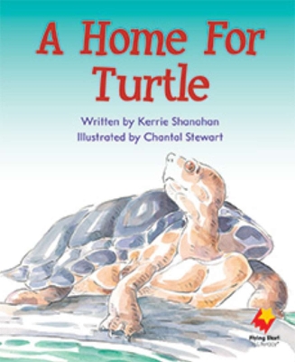 A Home For Turtle book